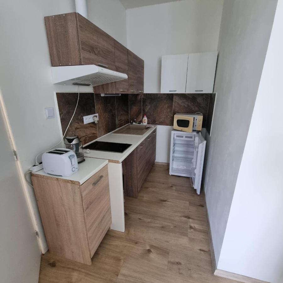 Apartment Porta Terezín Εξωτερικό φωτογραφία